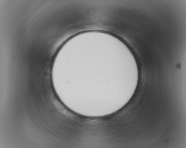 X0000113171460200910161256