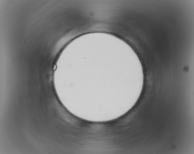 X0000113171461200910161256