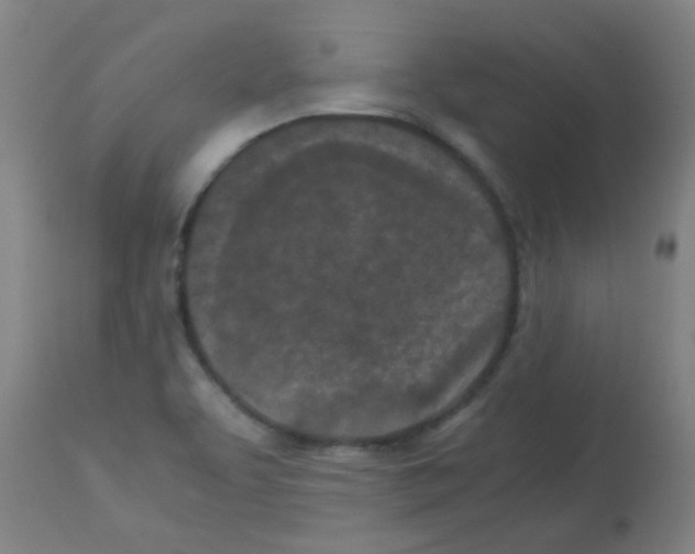 X0000113171463200910161256