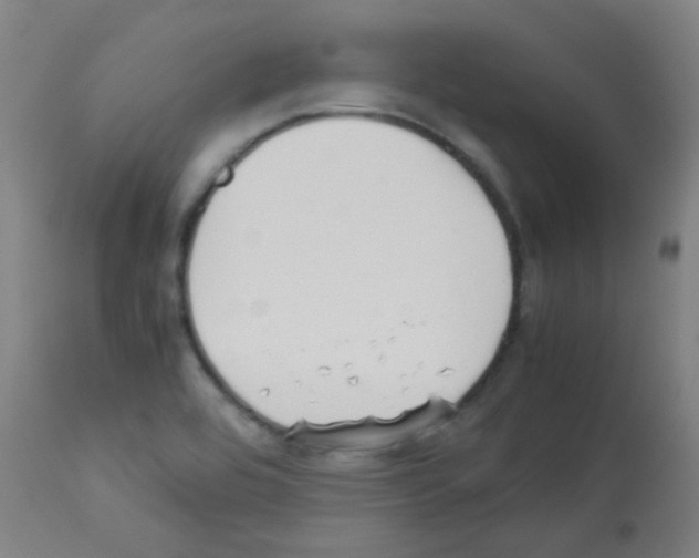 X0000113171464200910161256