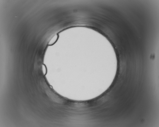 X0000113171465200910161256