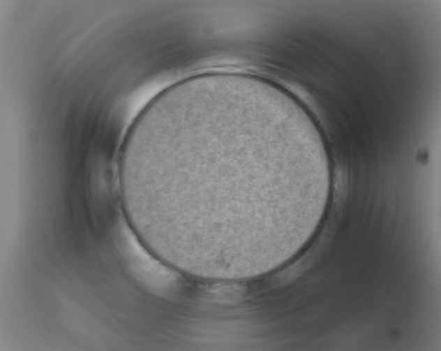 X0000113171466200910161256