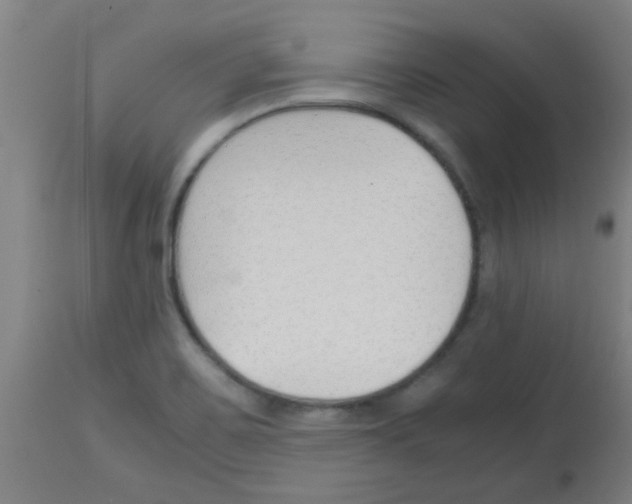 X0000113171467200910161256