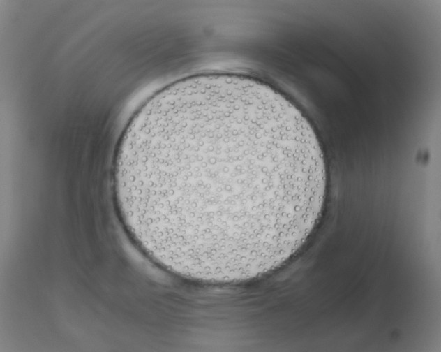 X0000113171471200910161256