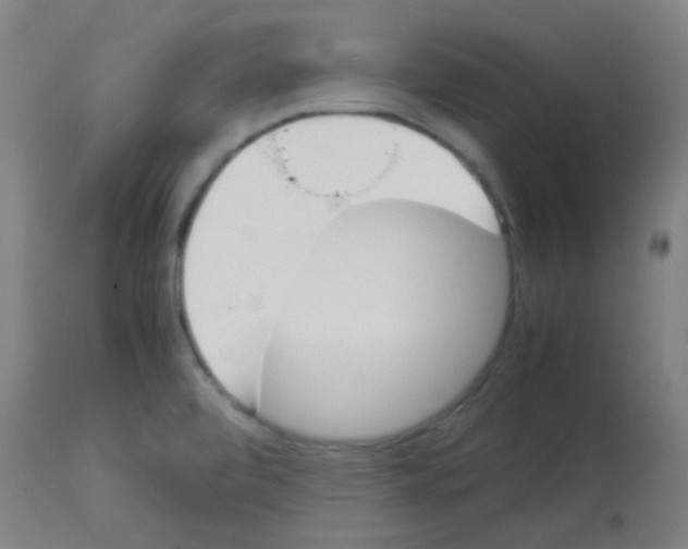 X0000113171472200910161256