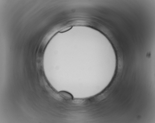 X0000113171473200910161256
