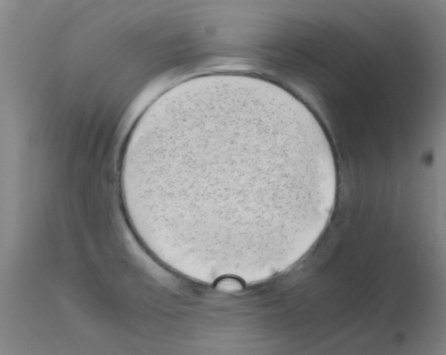 X0000113171475200910161256