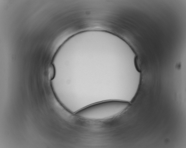 X0000113171476200910161256