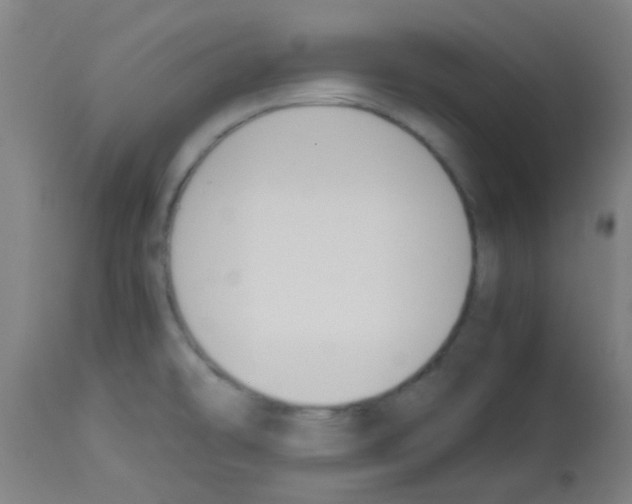 X0000113171478200910161256