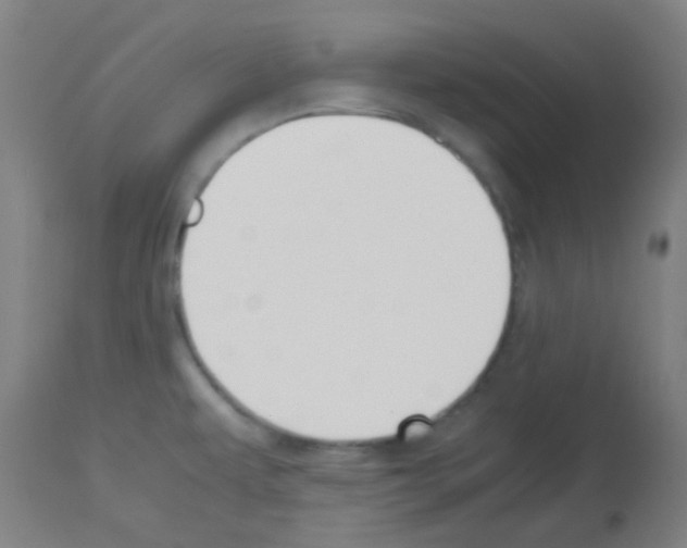 X0000113171479200910161256