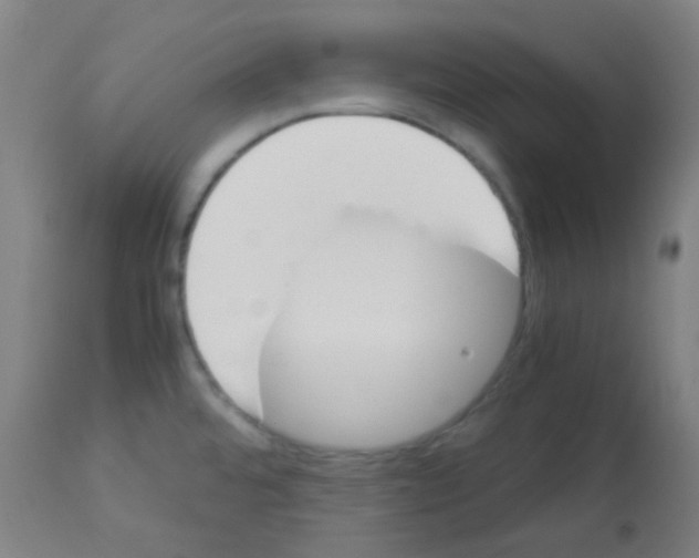 X0000113171480200910161256