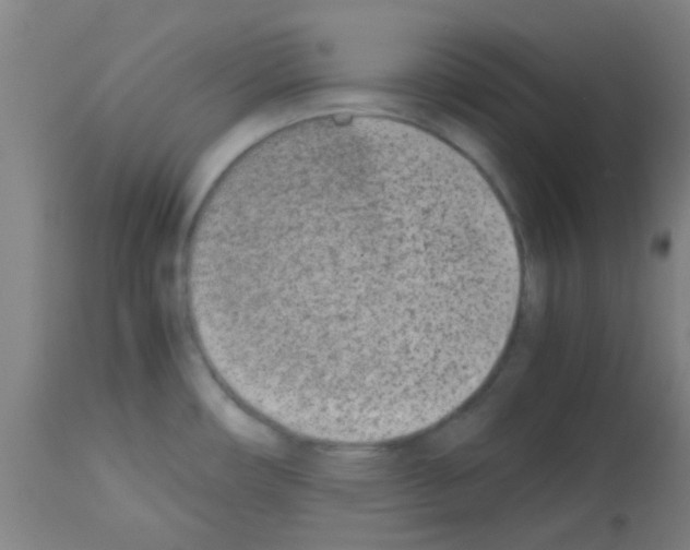 X0000113171482200910161256