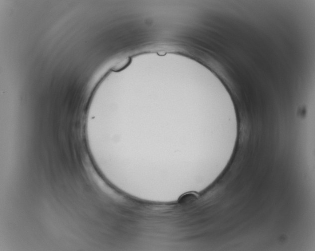 X0000113171484200910161256