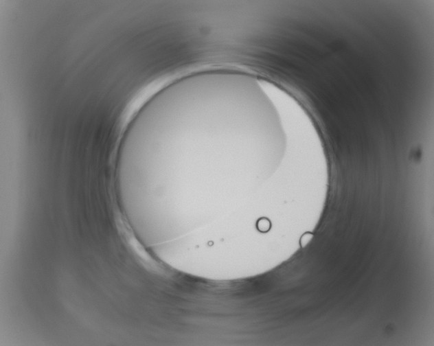 X0000113171485200910161256