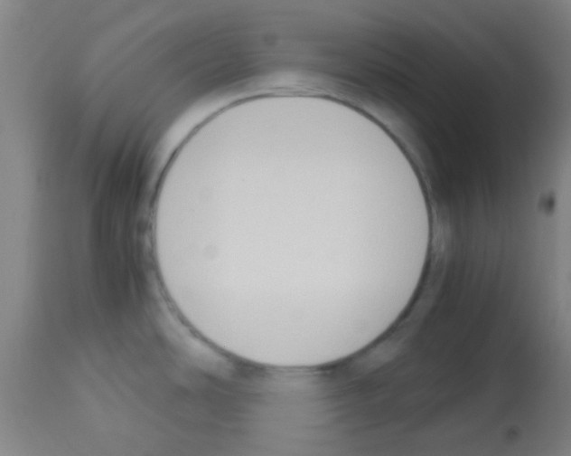 X0000113171486200910161256