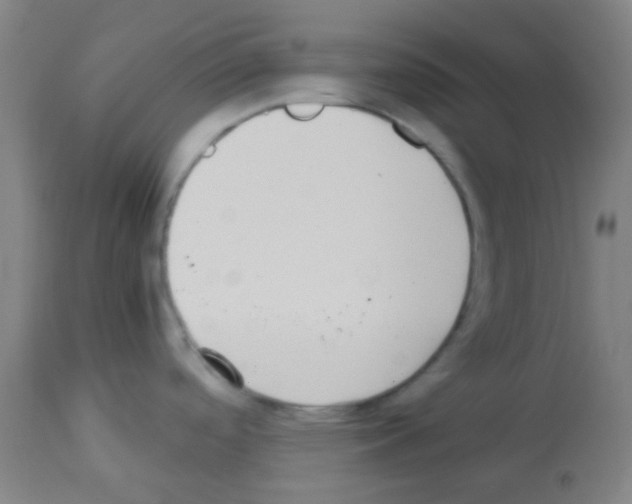 X0000113171488200910161256