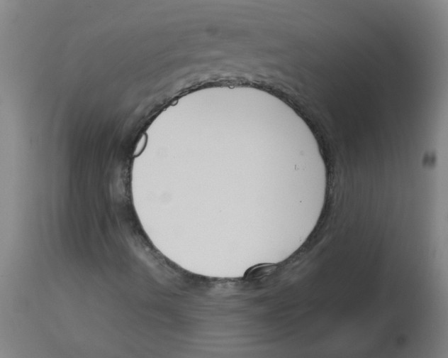 X0000113171490200910161255
