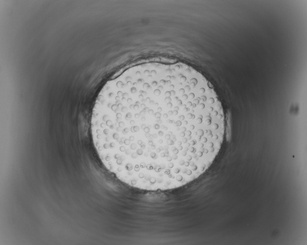 X0000113171491200910161255