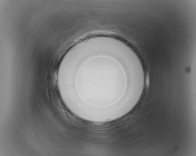 X0000113171492200910161255