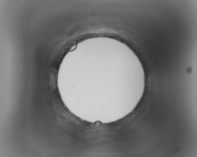 X0000113171493200910161255