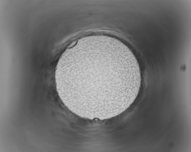 X0000113171494200910161255
