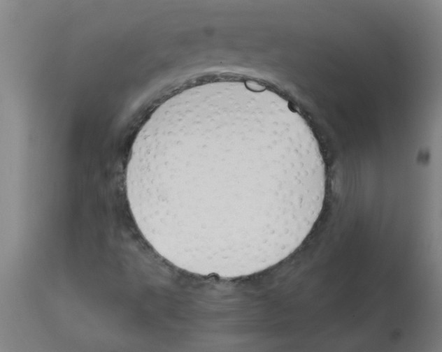 X0000113171495200910161255