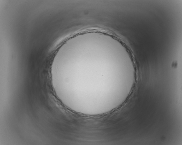 X0000113171496200910161255