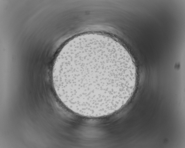 X0000113171497200910161255