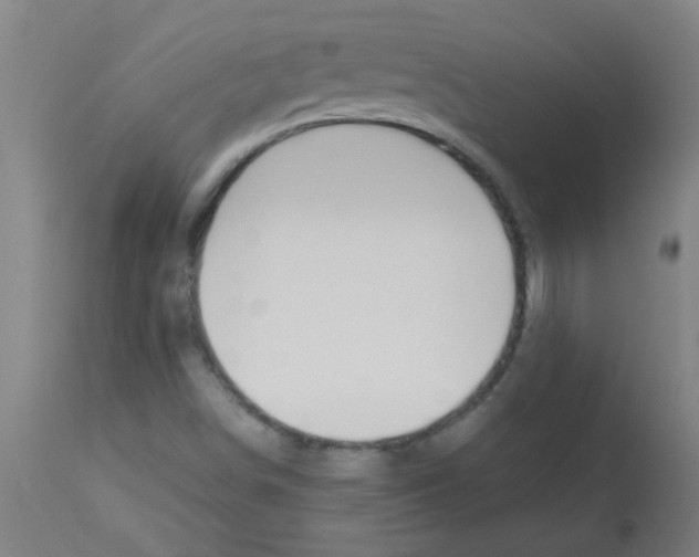 X0000113171498200910161255