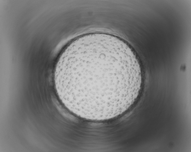X0000113171499200910161255