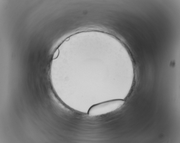 X0000113171500200910161255
