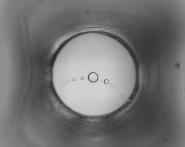 X0000113171501200910161255