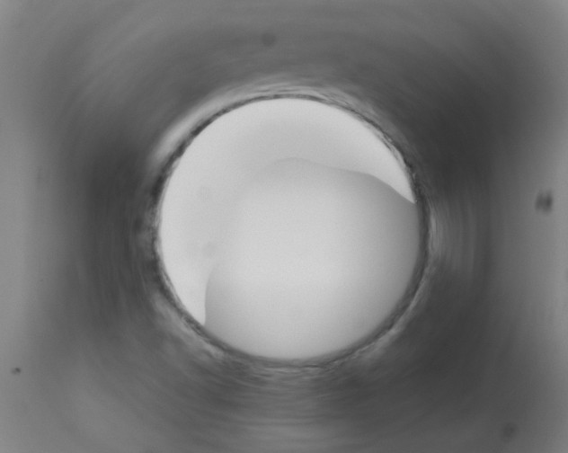 X0000113171502200910161255