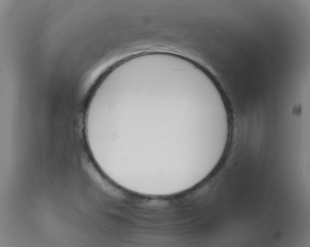 X0000113171503200910161255