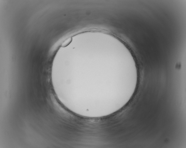 X0000113171504200910161255