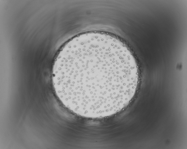 X0000113171505200910161255