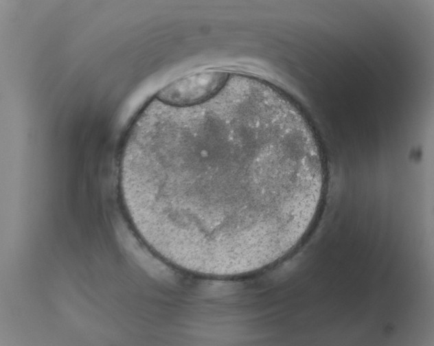 X0000113171506200910161255