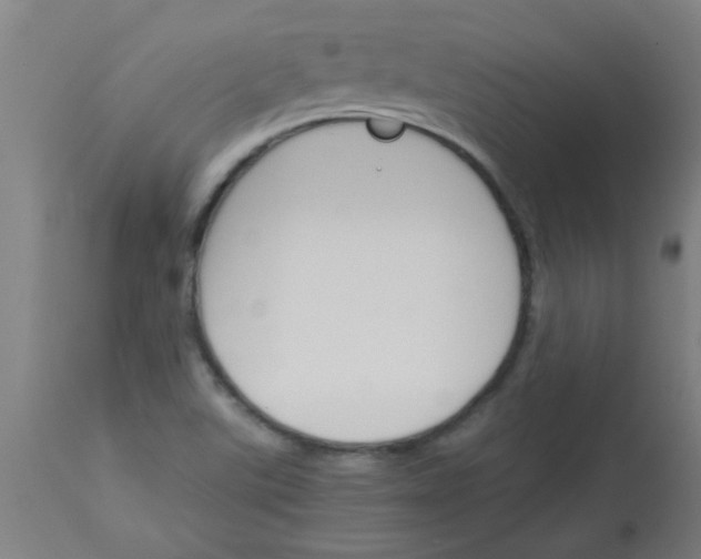 X0000113171507200910161255