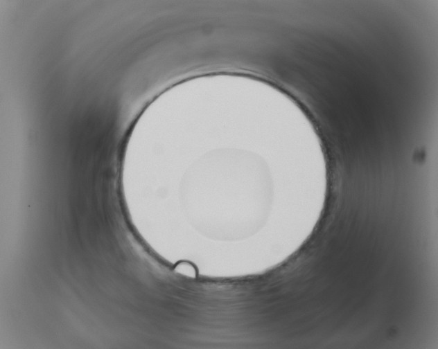 X0000113171508200910161255