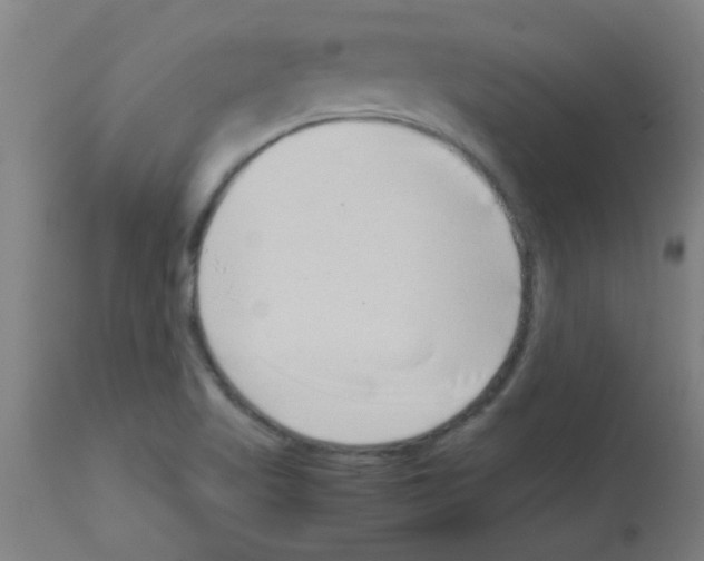 X0000113171509200910161255