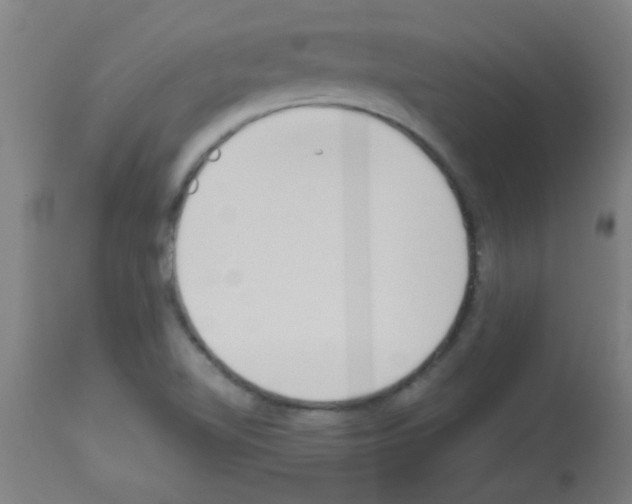 X0000113171510200910161255