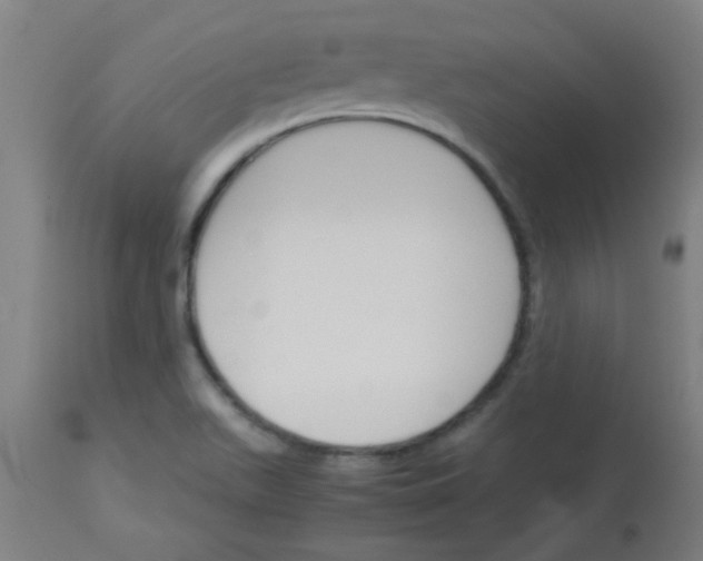 X0000113171511200910161255