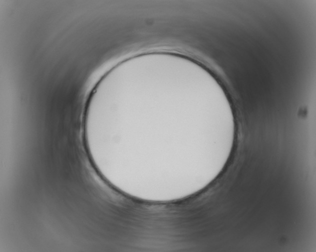 X0000113171512200910161255