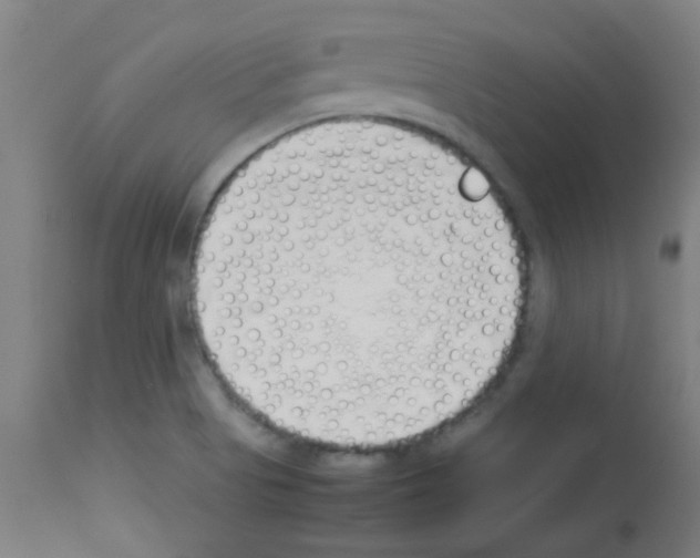 X0000113171513200910161255