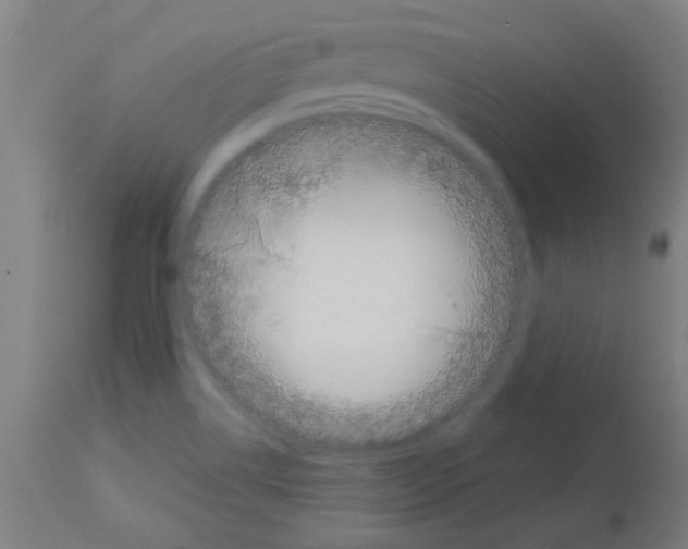 X0000113171514200910161255