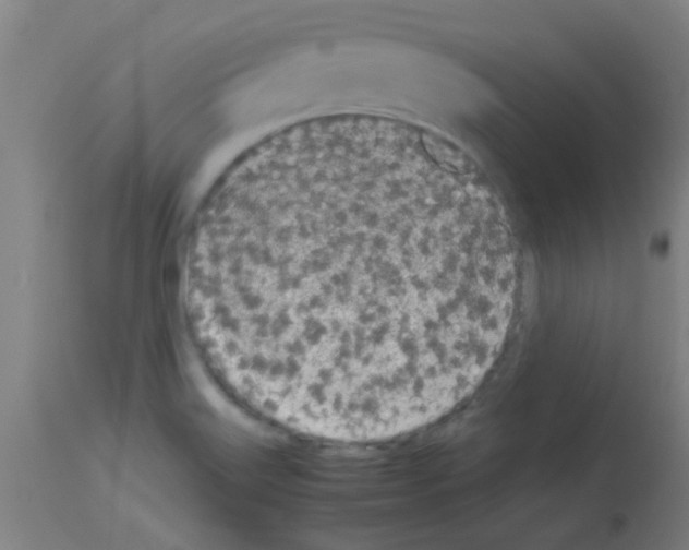 X0000113171515200910161255