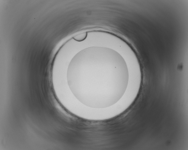 X0000113171516200910161255