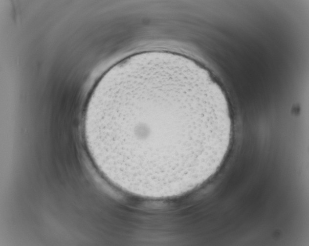 X0000113171517200910161255