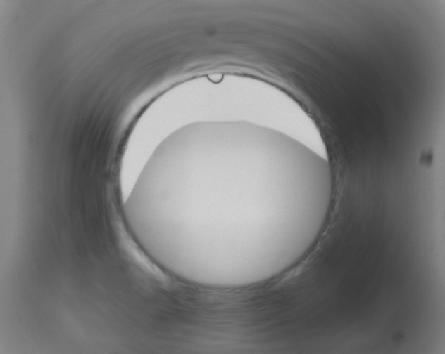 X0000113171518200910161255