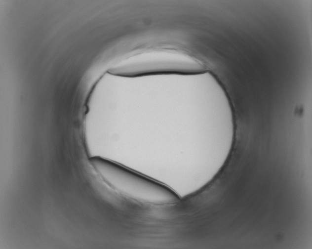 X0000113171520200910161255